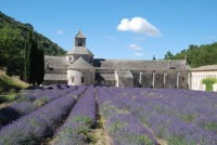 Abbaye de Sénanque 